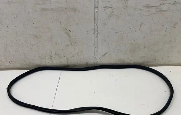KIA EV6 Rear door rubber seal (on body)