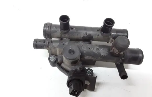 Thermostat/thermostat housing
