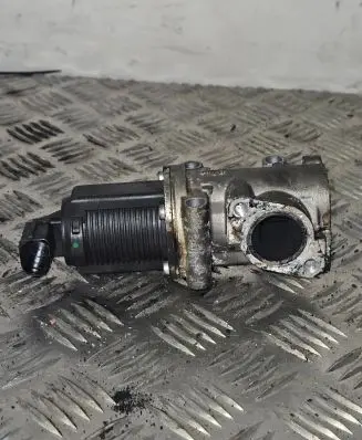 Opel Zafira B EGR valve 50024005 09T112