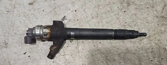 Ford Transit Fuel injector 6C1Q9K546AC 11K54892