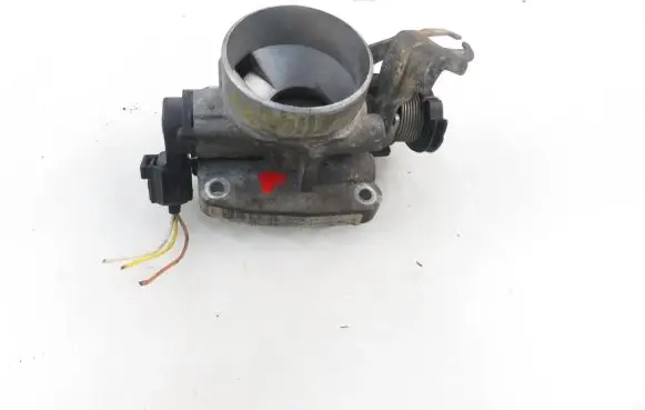 Throttle body valve