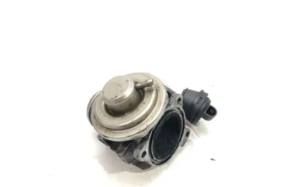 Seat Leon (1M) EGR valve 038131501E