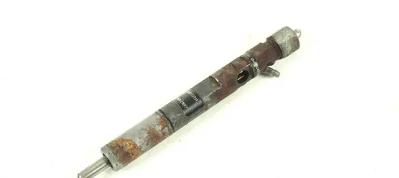 Renault Clio III Fuel injector 28232251 166001137R