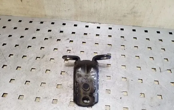 Nissan Pathfinder R51 Rear door lower hinge
