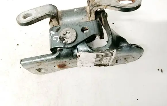 Chrysler 300 - 300C Rear door lower hinge