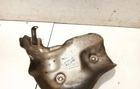 Exhaust heat shield
