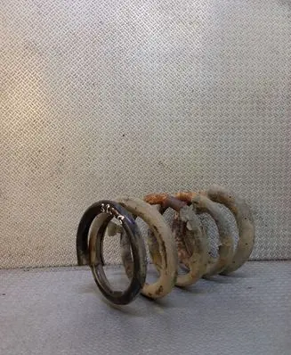 KIA Carnival Rear coil spring