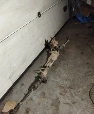 Ford Focus C-MAX Steering rack