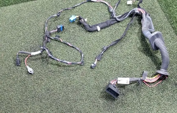 Front door wiring loom