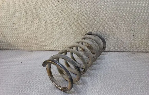 Ford S-MAX Rear coil spring