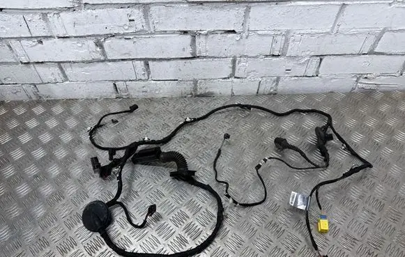 Audi Q5 SQ5 Front door wiring loom 8R0971029BC