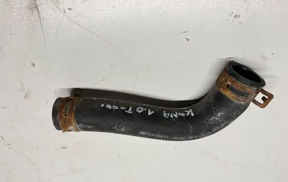 Hyundai Kona I Engine coolant pipe/hose 25411J9000