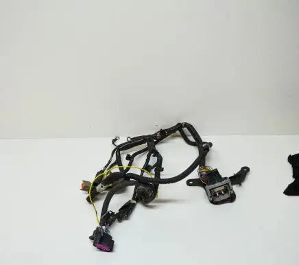 Tesla Model S Other wiring loom 100531203H