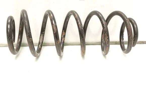 Rear coil spring