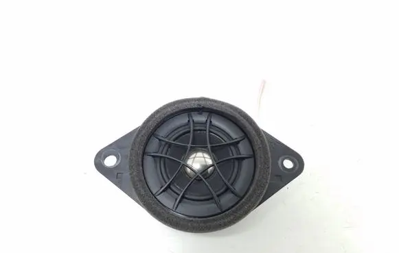 Front door high frequency speaker
