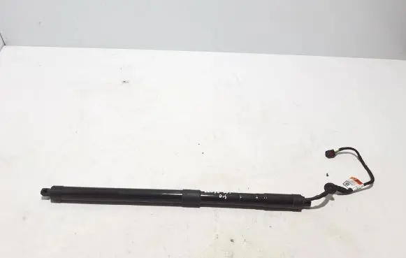 Tailgate strut