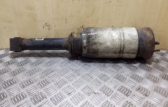 Land Rover Range Rover Sport L320 Front air suspension shock absorber RNB500223 3498720 22227491