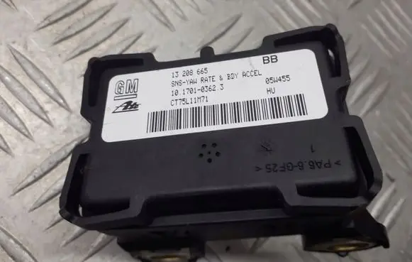 Opel Zafira B ESP (stability system) control unit 13208665