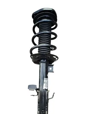 Ford Kuga III Front shock absorber with coil spring LX61-18K001-SDF