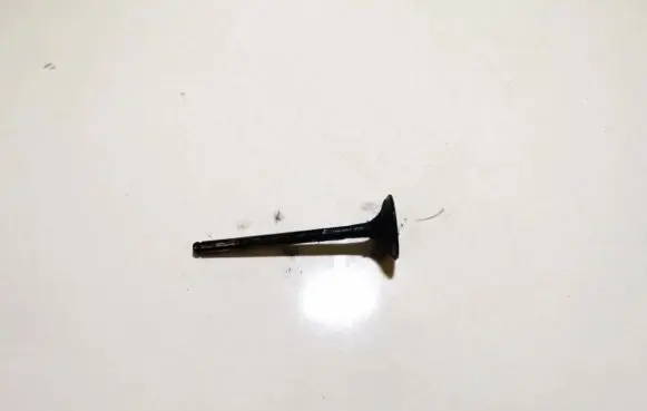 Renault Scenic I Valve 