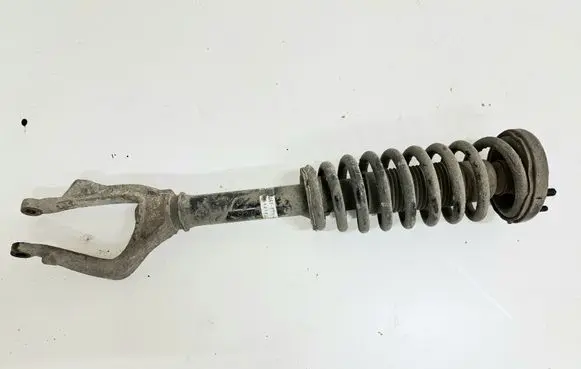 Honda Accord Front shock absorber with coil spring