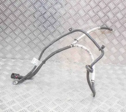 Audi Q5 SQ5 Other wiring loom 8R1971111B