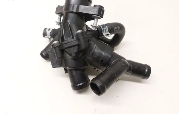 Thermostat/thermostat housing