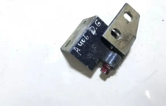 Peugeot 406 Rear door lower hinge