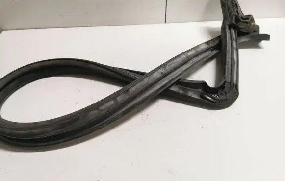 Ford Mustang V Front door rubber seal 