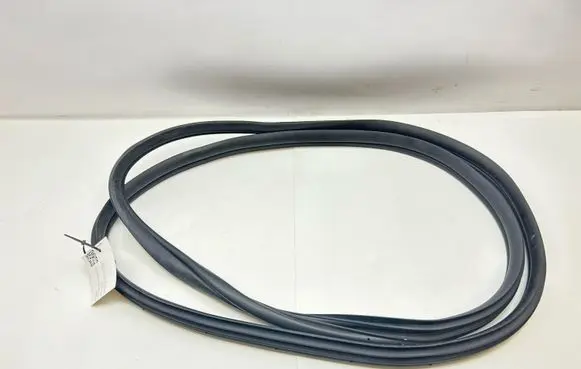 Hyundai Ioniq 5 Front door rubber seal 