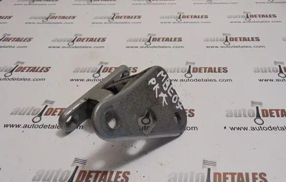 Front door lower hinge