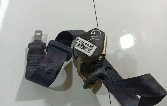 Rear seatbelt
