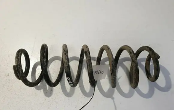 Rear coil spring