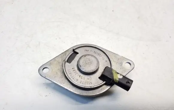 Chevrolet Volt I Valve oil control F34751213 55562223