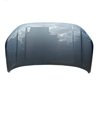 Engine bonnet/hood