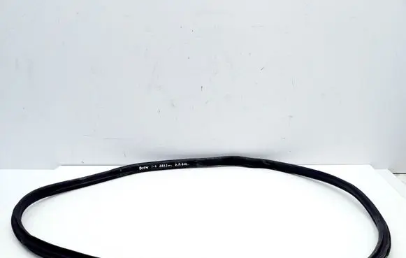 BMW i4 Rubber seal rear door 