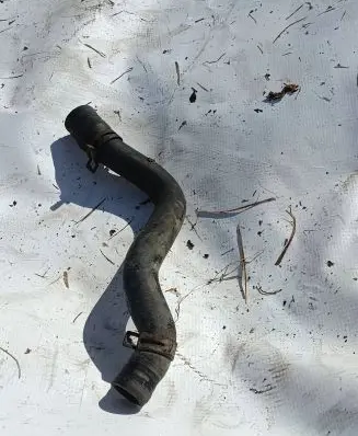 Audi A3 S3 8L Engine coolant pipe/hose