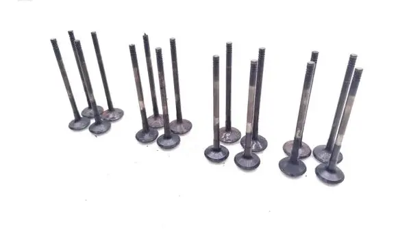 KIA Sorento Valve 
