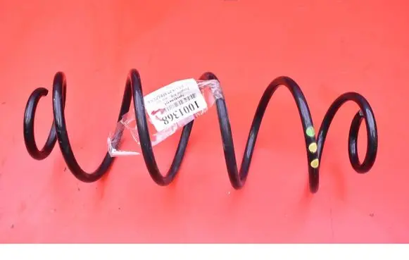 Rear coil spring