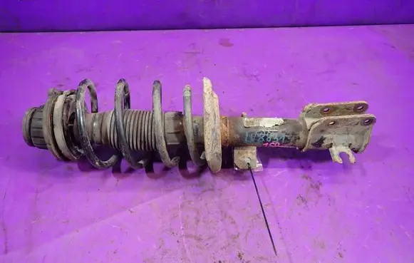 Fiat Bravo Front shock absorber with coil spring 