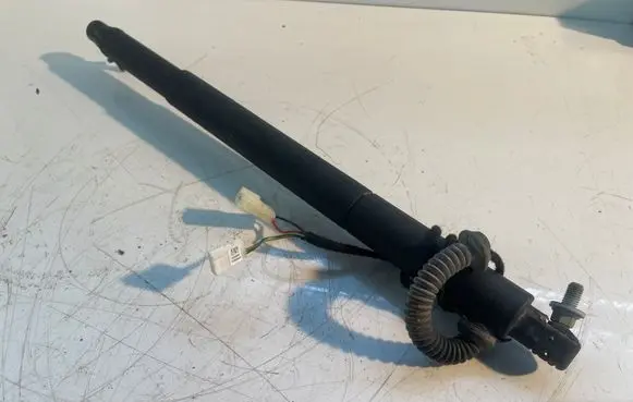 BMW X6 E71 Tailgate/trunk strut/damper 712028302