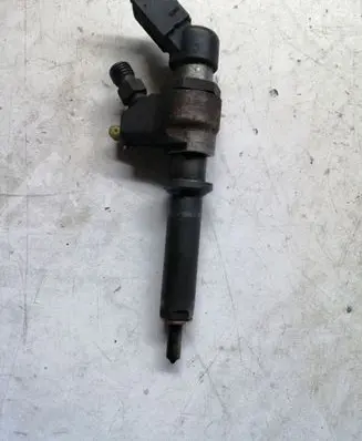 Citroen Berlingo Fuel injector 9652173780