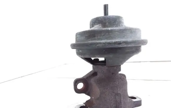 Hyundai Getz EGR valve