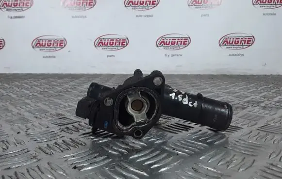 Thermostat/thermostat housing