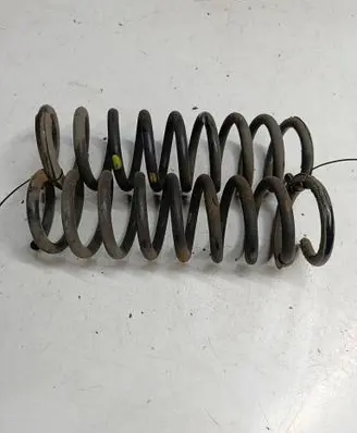 Rear coil spring