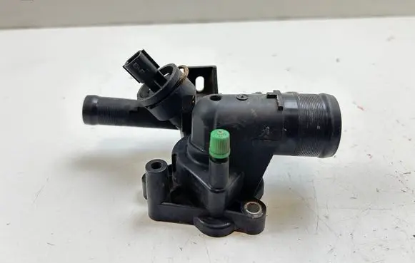 Thermostat/thermostat housing