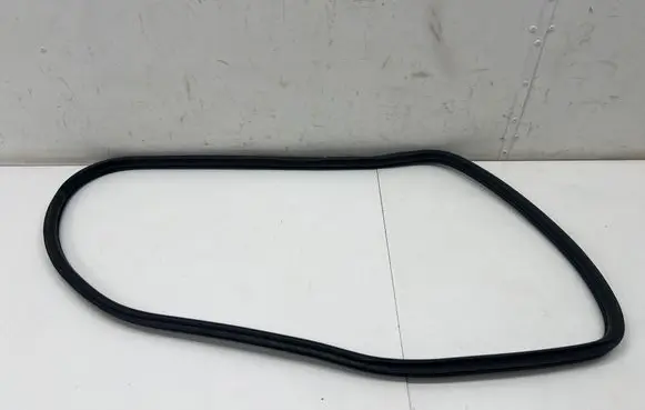 Mini Clubman F54 Rear door rubber seal (on body) 7344161