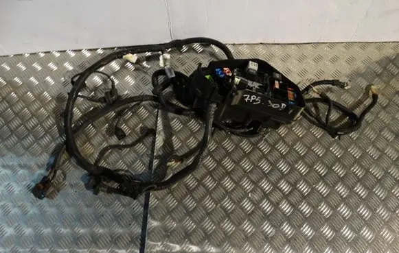 Porsche Cayenne (9Y0 9Y3) Wiring harness 7P5971072AG7P5