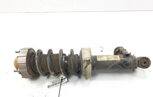 Porsche Cayenne (9PA) Rear shock absorber/damper 7L5512021DJ