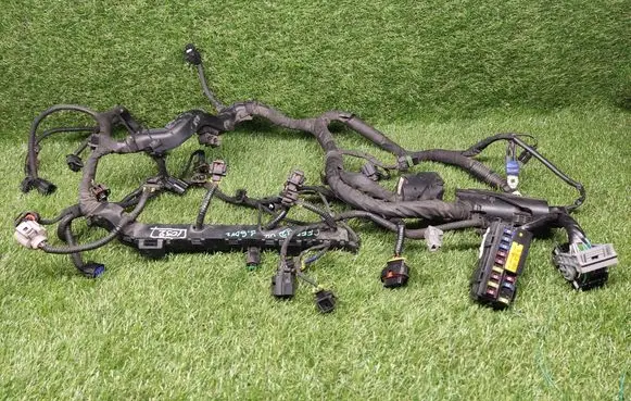 Engine installation wiring loom